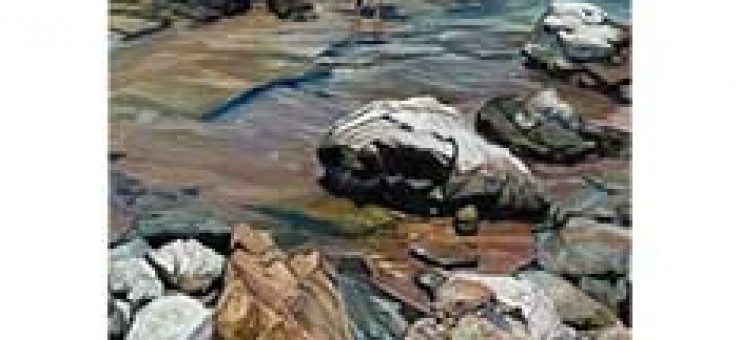 Coastlines – 20-24.11.2024