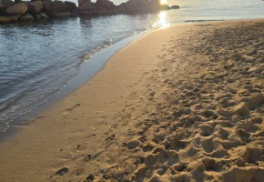 Coral Bay
