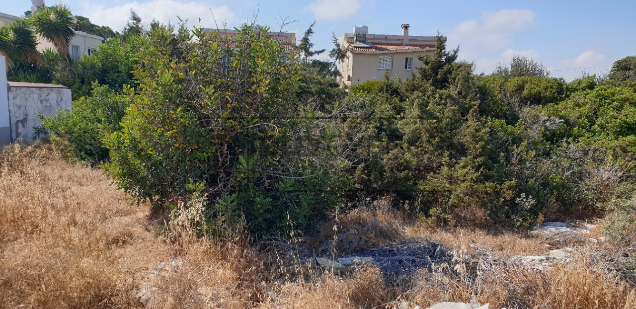 Residential Land For Sale in Sea Caves, Paphos BC72753